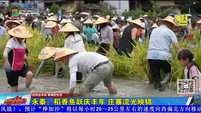 永泰：稻香鱼跃庆丰年 庄寨流光映锦