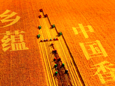 中国之乡，中国之香！