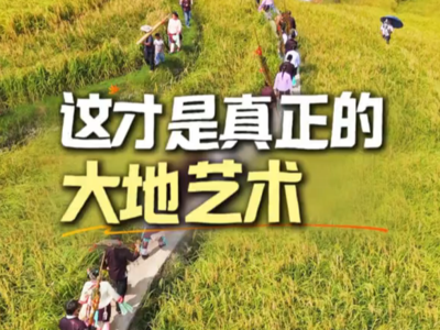 这才是真正的大地艺术