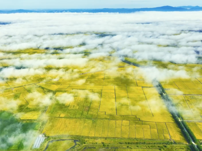 ​听！这是丰收的交响