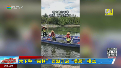 水下种“森林” 西湖开启“美颜”模式
