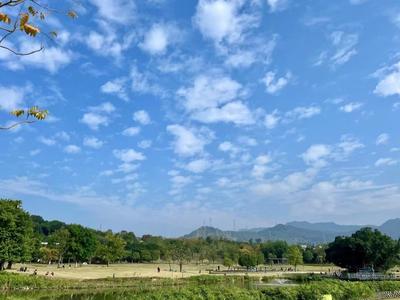 电影嘉年华暨惠民消费季20日启动 四大主题玩法带你领略福州魅力