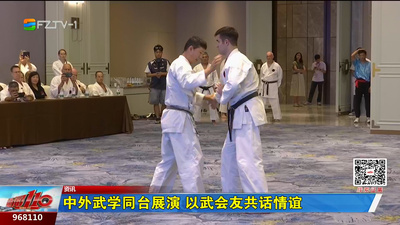 中外武学同台展演 以武会友共话情谊