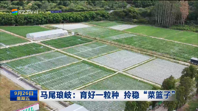 馬尾瑯岐：育好一粒種 拎穩“菜籃子”