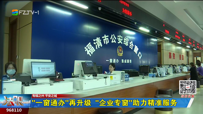 “一窗通办”再升级 “企业专窗”助力精准服务