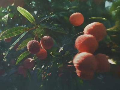 热爱无界 视界超清