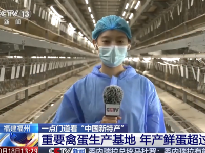 央视关注福州：国外鸡蛋价格飞涨 我们的蛋价为何稳得住