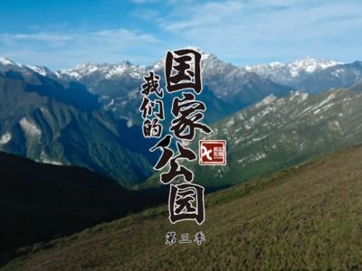 绝美的中国“字画”：大熊猫国家公园本身，是一幅绝美的中国“字画”。