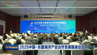2025中国—东盟海洋产业合作发展圆桌会召开