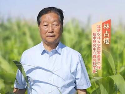 公益广告丨致敬道德模范 传递榜样力量