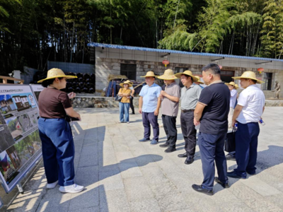 榕你来商量｜“微协商”凝聚共识，助推北峰山区农文旅融合提质增效