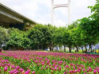 别跑空！福州一公园临时闭园！
