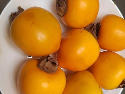 降了！降了！福州正大量上市！很多人爱吃