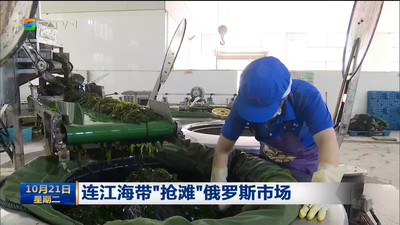 连江海带“抢滩”俄罗斯市场
