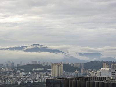 各界精英在榕共话非公有制经济发展