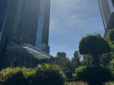 让“参天大树”更繁茂，福州做对了什么？