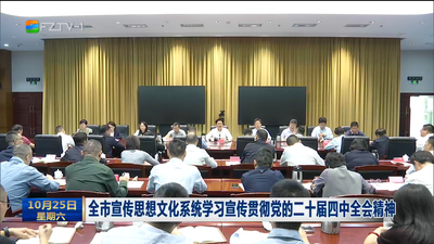 全市宣传思想文化系统学习宣传贯彻党的二十届四中全会精神