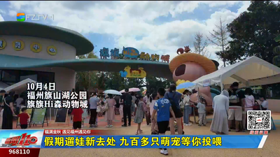 假期遛娃新去处 九百多只萌宠等你投喂