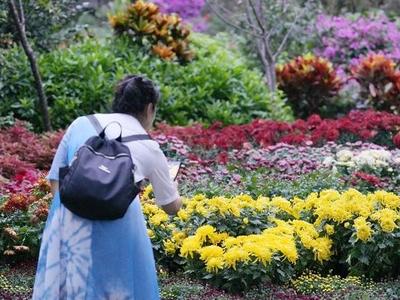 入秋后福州天气多变 气温“上蹿下跳”雨水不时“打卡”