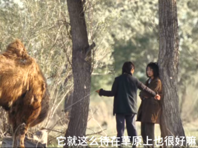 以视听为桥 聆听精品的声音
