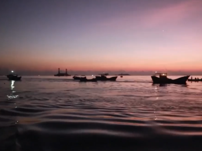 央视关注连江：丁香鱼进入丰产期