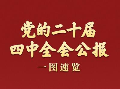 学习新语丨党的二十届四中全会公报一图速览