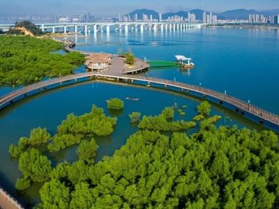 奋勇争先这一年：锐意奋进的厦门