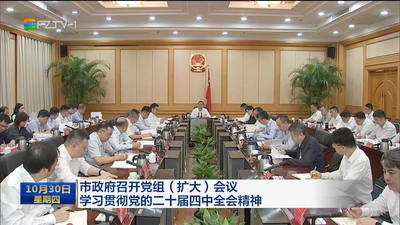 市政府召开党组（扩大）会议学习贯彻党的二十届四中全会精神