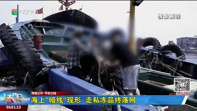 海上“暗线”现形  走私冻品终落网
