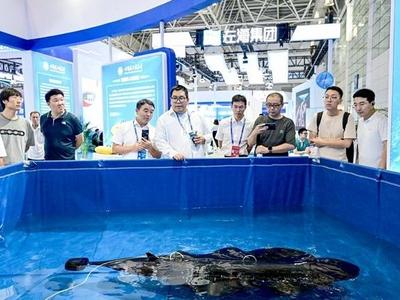 在海装展遇见“船”奇
