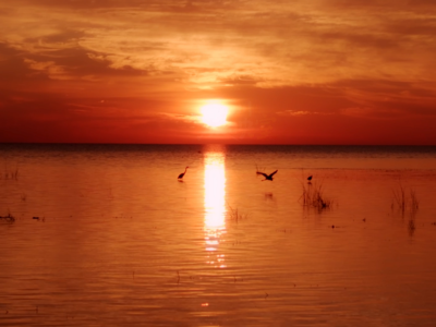 落霞与孤鹜齐飞，秋水共长天一色