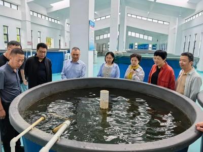 委员在行动丨步履不停守碧水，久久为功护青山——市县两级政协委员河长开展巡河活动