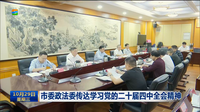 市委政法委传达学习党的二十届四中全会精神
