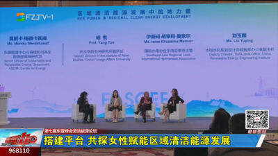 搭建平台 共探女性赋能区域清洁能源发展