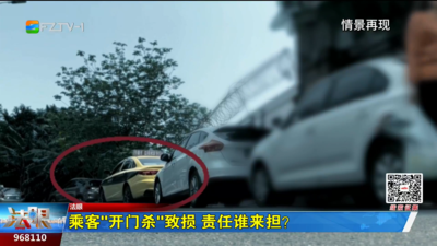 乘客“开门杀”致损 责任谁来担？