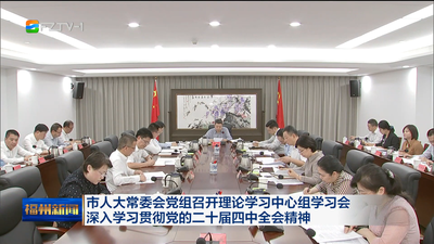 市人大常委会党组召开理论学习中心组学习会深入学习贯彻党的二十届四中全会精神