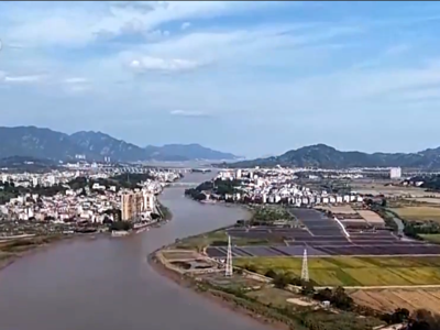 央视关注连江：百余只黄胸鹀驻足逗留 数量为历年之最