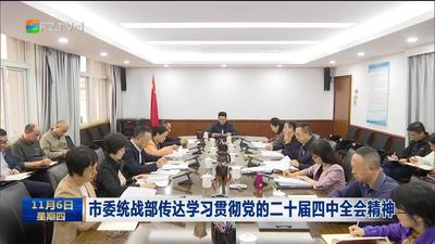 市委统战部传达学习贯彻党的二十届四中全会精神