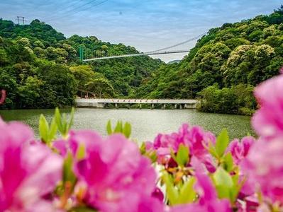 全国首单！两岸融合水土保持生态产品价值转化交易落地闽清