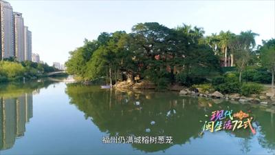 古榕傳韻，茉莉飄香！聆聽“新福州人”的心動故事