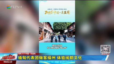 缅甸代表团做客福州 体验闽都文化