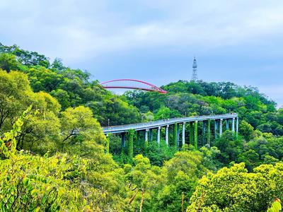 2026年“超长春节”引爆旅游市场 福州成为国内热门目的地