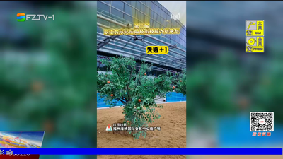 全国无人机飞手展风采 大赛现场竞精准