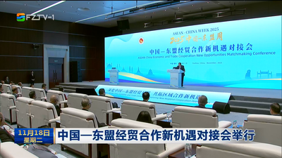 中国—东盟经贸合作新机遇对接会举行