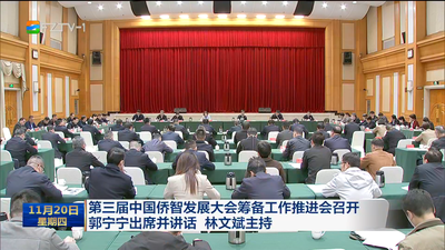 第三届中国侨智发展大会筹备工作推进会召开 郭宁宁出席并讲话 林文斌主持