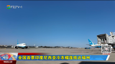全国首票印度尼西亚冷冻榴莲抵达福州