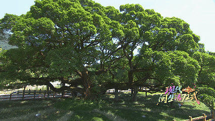 新华社关注：“福州，听我说”《福州文化“行万里”》