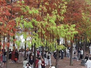 央视关注福建福州：赏秋“新玩法” 快到江边“捡秋”吧