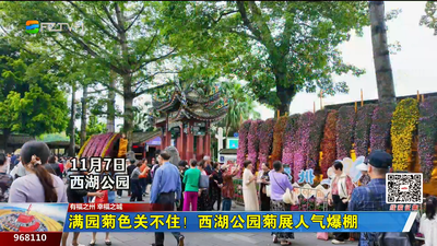 满园菊色关不住！西湖公园菊展人气爆棚