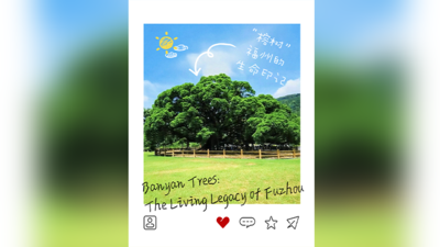 榕树，福州的生命印记